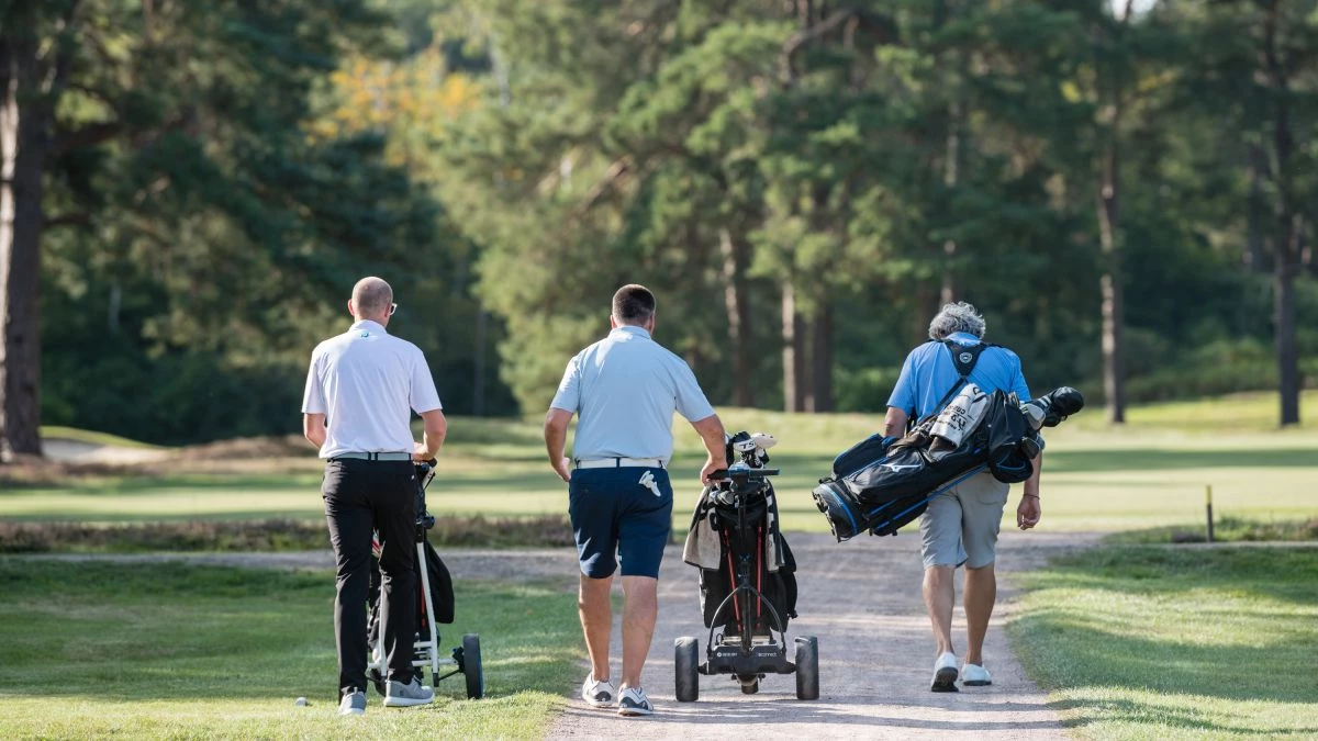 Golf Clubs Store 22 Golf Clubs Store -Golf Clubs Store 6